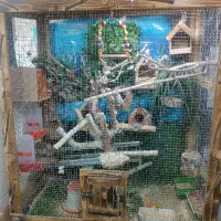 قفس چوبی بزرگ