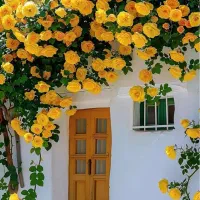 ویلای-150متری-در-مرکز-پیربازار