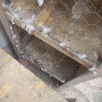 کفتر جفت کن کفتر ومرق یا قفس