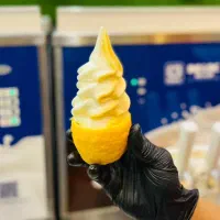 ثعلب(سی ام سی)ولتی شاندونگ سانروز ساندوز دانمارکی