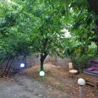 ویلا دربست باویو کوهستان|اجارهٔ کوتاهمدت ویلا و باغ|فشم, |دیوار