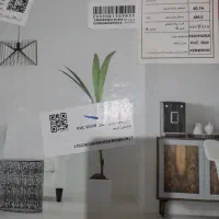 جاروبرقی کنوود