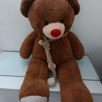 خرس بزرگ