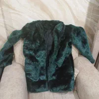 پالتو تمام خز زنانه|لباس|ملارد, |دیوار