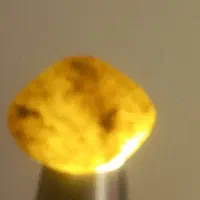 راف کوهپایه ای