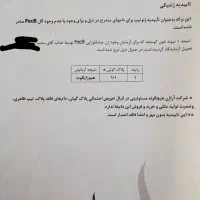 میش افشار هترو (شکم اول )|حیوانات مزرعه|تفت, |دیوار