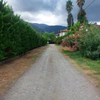 ۱۰۰۰مترزمین/با قابلیت تفکیک/شهرک پشتوان(کاسبی)|فروش زمین و ملک کلنگی|نوشهر, |دیوار