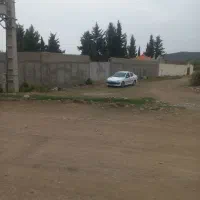 یک واحد دامداری با همه امکانات|فروش دفتر صنعتی، کشاورزی، تجاری|گرگان, |دیوار