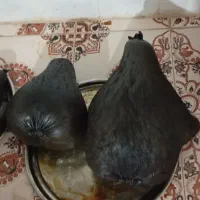 هیزه نو|ظروف نگهدارنده، پلاستیکی، یکبارمصرف|نورآباد, |دیوار