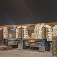 توزیع میوه مستقیم از میدان تره بار تهران|خوردنی و آشامیدنی|تهران, میدان میوه و تره‌بار مرکزی|دیوار