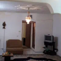 فرش نگین مشهد|فرش|سرخه, |دیوار