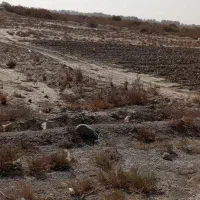 زمین اجاره ای