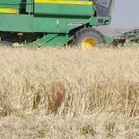 کمباین ۱۱۶۵|خودرو سنگین|رزن, |دیوار