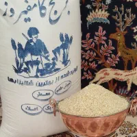 برنج کامفیروزی امسال