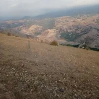 فروش پنج هزار متر زمین زراعی سند دار|فروش زمین و ملک کلنگی|رودبار, |دیوار