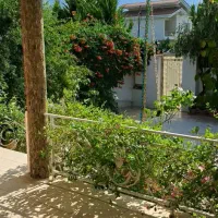 ۳۷۱ متر زمین بر خیابان اصلی دوجمان کد ۱۶۴۹|فروش زمین و ملک کلنگی|چالوس, |دیوار