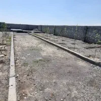 زمین فروشی|فروش خانه و ویلا|گلمکان, |دیوار