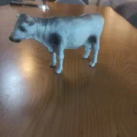 تعدادی مجسمه و اگسسوری|مجسمه، تندیس، ماکت|اصفهان, برازنده|دیوار