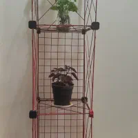 قفسه و دو عدد قفس