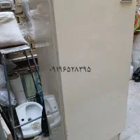 سالم به شرط