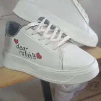 کفش استوک و نو|کیف، کفش، کمربند|حمیدیا, |دیوار