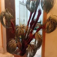 گل مصنوعی|گل مصنوعی|خوی, |دیوار