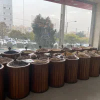 فروشنده خانم