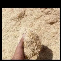 کاه دیم امسالی کردستان به ضمانت