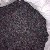 کشمش افتابی