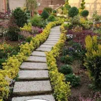 خدمات باغبانی گلکاری باغچه کاری درختکاری|خدمات باغبانی و درختکاری|شهریار, شهریار|دیوار