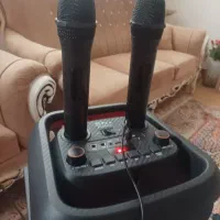 اسپیکر خانگی پر قدرت|سیستم صوتی خانگی|خلخال, |دیوار