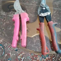 قیچی باغبونی وحرص