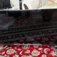 تلویزیون یوروپلاس 43 اینچ نو