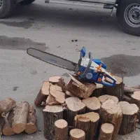 برش انواع درخت