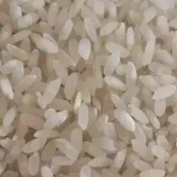 برنج کامفیروزی|خوردنی و آشامیدنی|شیراز, دروازه قران|دیوار