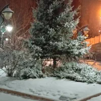 مجموعه آلتای گاردن