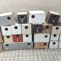قفس پرید سالم