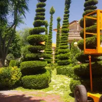 طراحی و اجرای فضای سبز|خدمات باغبانی و درختکاری|کرج, شهرک نهال و بذر|دیوار