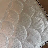 تشک در حد نو