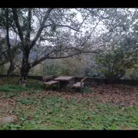 اجاره سوییت نوسازجنگلی روستایی|اجارهٔ کوتاهمدت آپارتمان و سوئیت|توتکابن, |دیوار