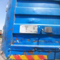 کفی لبه دار ماموت