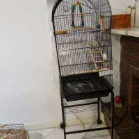 قفس کاسکو ویلچردار