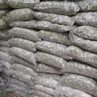 پخش عمده لوبیا سبز خرد شده