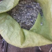 کود کبوتر