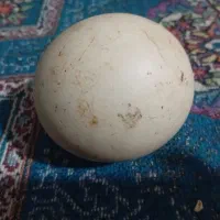 سنگ. آسیاب بزرگ قیمتی|جواهرات|سبزوار, کهنه آب|دیوار