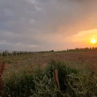 آب آبیاری کشاورزی