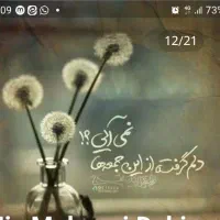 نگهداری از سالمند