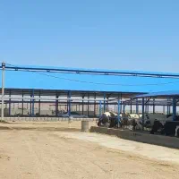 دام طیور از تولید تا اجرا ورقهای شیروانی پی وی سی|خدمات پیشه و مهارت|مشهد, سازمان آب|دیوار