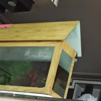 آکواریوم بزرگ با همه وسایل و سه تا ماهی