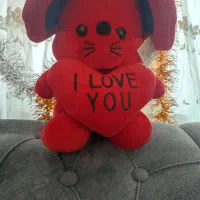 عروسک زیبا|اسباب‌‌بازی|گرگان, |دیوار